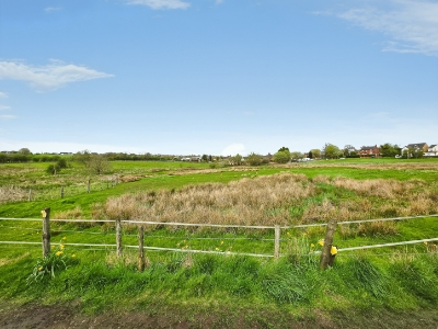 Picture 39